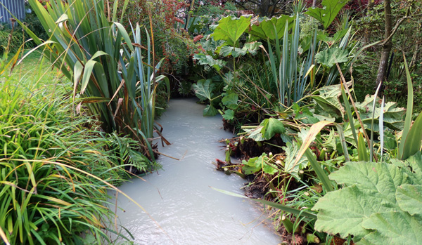  Visible again, and the encroaching Gunnera roots have been sliced off. 