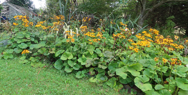  Taking over the Glass-House Garden 