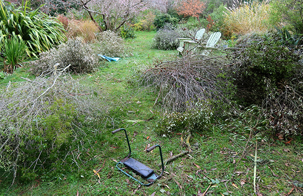  Branches for the shredder. 