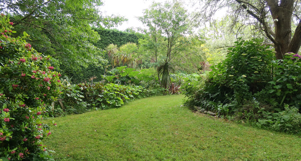  The back lawn and shrubs are happy with their irrigation. 