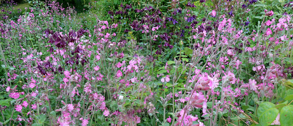  In the Hump Garden. 