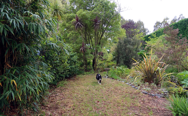  The bamboo is on the right. 