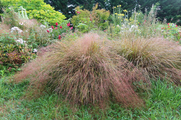  Before being trimmed. 