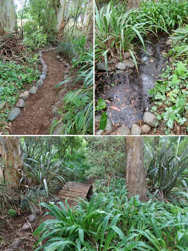  Path, little bridge, little pond. 