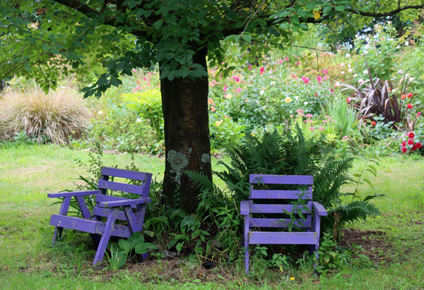  The Hump Garden is in the background. 