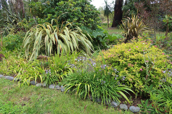  In the Stumpy Garden. 