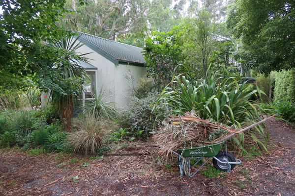  At the side of the house. Plus a very green wheelbarrow! 