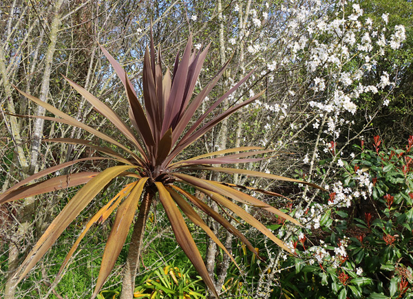  In the Welcome Garden. 