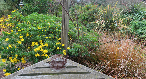  With yellow daisies brightening up the garden. 