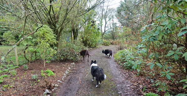  Down the driveway. 