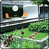 Chelsea Flower Show Envy