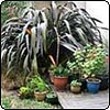 Away from Home and Garden