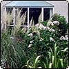 Island Garden Back View