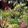  Beautiful JAM Garden 
