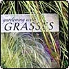 Gardening with Grasses