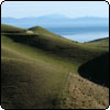 The Cape Campbell Walkway