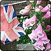 Chelsea Pensioners Garden