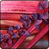 Garden Colours