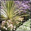 Christchurch Botanic Gardens - Summer