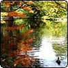 Christchurch Botanic Gardens - Autumn