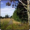 A Rural Farm Garden