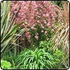  Shrubs and Spikes 