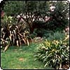 A Positively Messy Garden