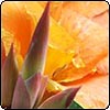 April Week 3 - More