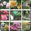 Garden Calendar 2007