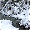 June Week 2 - Snow!