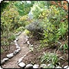 New Oak Tree Path
