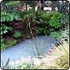 Water's Edge