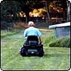 Every Gardener's Best Friend