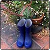 Gardening Weblogs & Journals