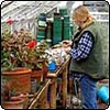 The Moosey Plant Nursery