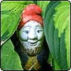 My Garden Gnome