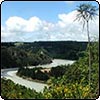 Rakaia River - Water and Weeds