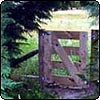 Hazel Gate