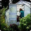 Head Gardener in the Glass-House