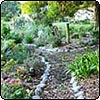 Hen House Garden Path