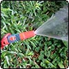 Sneaky Watering