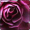 December Week 2 - More