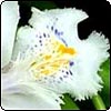 Favourites