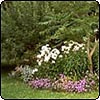 JAM Garden Glass-House Plantings