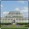  A Day at Kew 