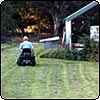 Lawn Mowing