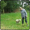  Lambs and Their Mothers 