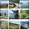 New Zealand Journeys Calendar 2007