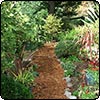 Down the Garden Path