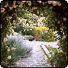 Patio Rose Arch